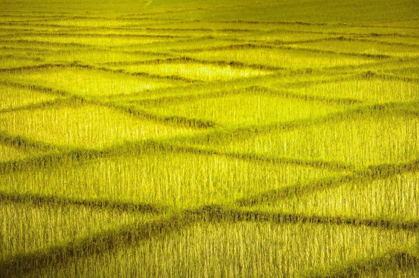 Elevate your life with your dream box essentials